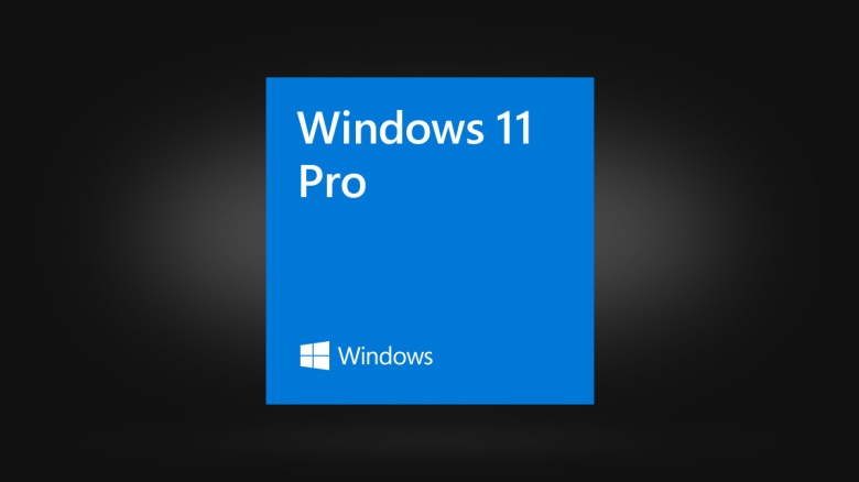 Windows 11 Pro