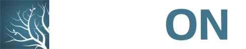 Lumion