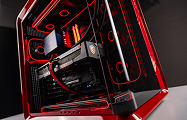 Exclusive PC for Max Natcorn
