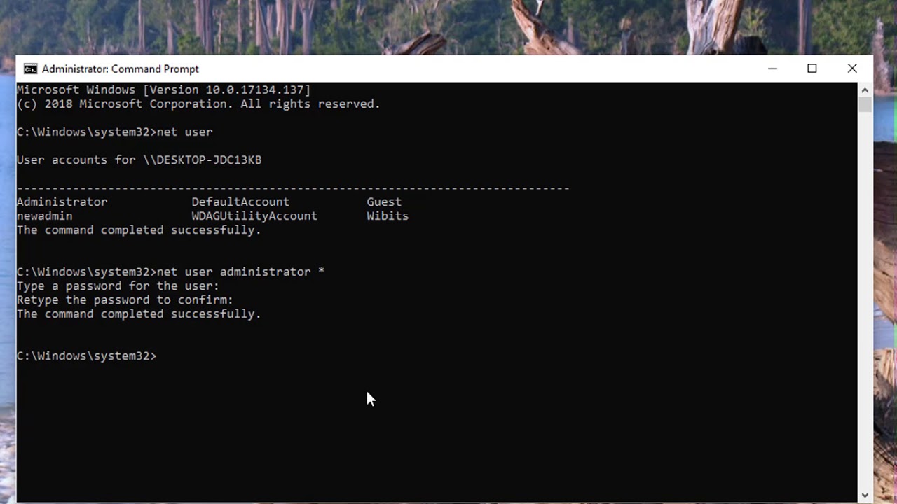 How to reset a forgotten Windows 10 or 11 password: image 5