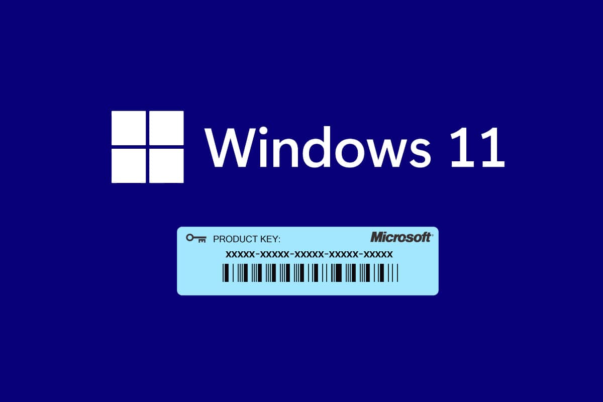 How to reset a forgotten Windows 10 or 11 password: image 6