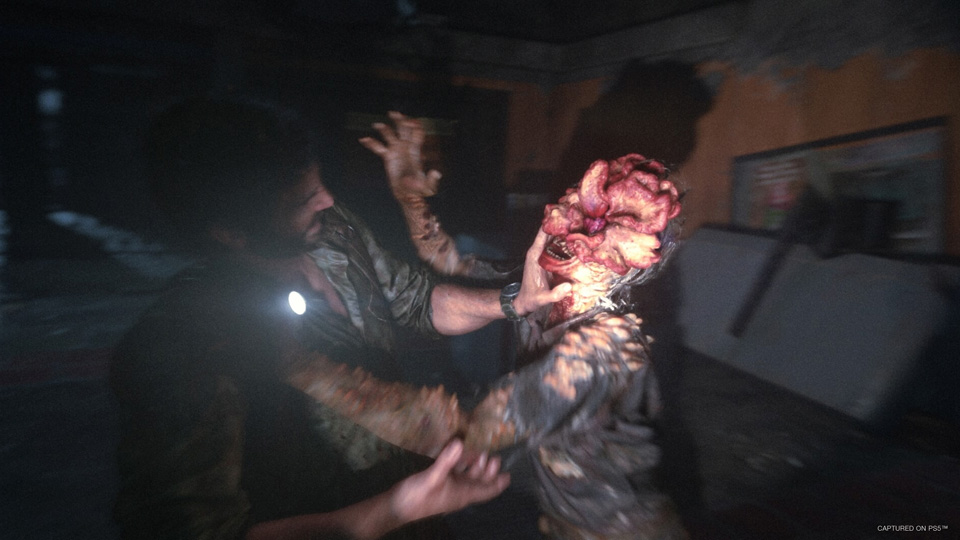 The Last of Us